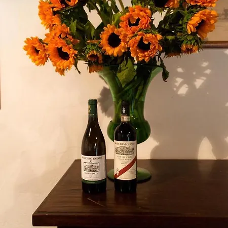 Marchesi Gondi * Понтассьеве